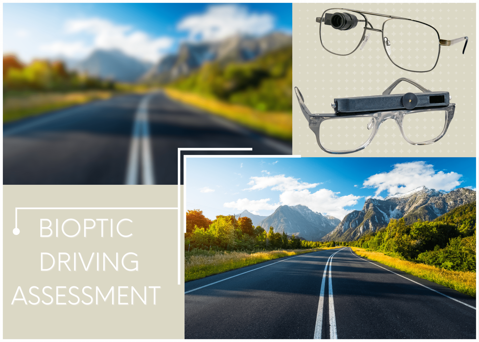 Bioptic Driving