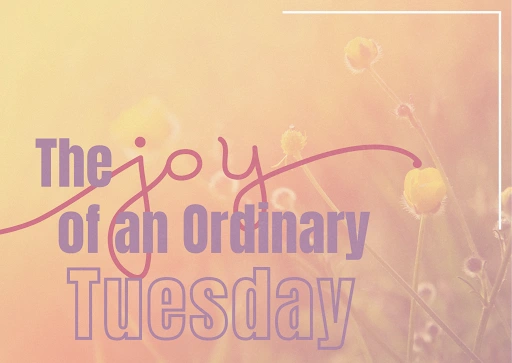 The Joy of an Ordinary Tuesday The Joy of an Ordinary Tuesday